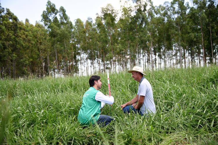 Em Seis Anos Assistência Técnica Do Senarms Inovou Mais De 58 Mil Hectares No Estado 5157